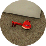 Official I found something badge icon for the Steak Key.